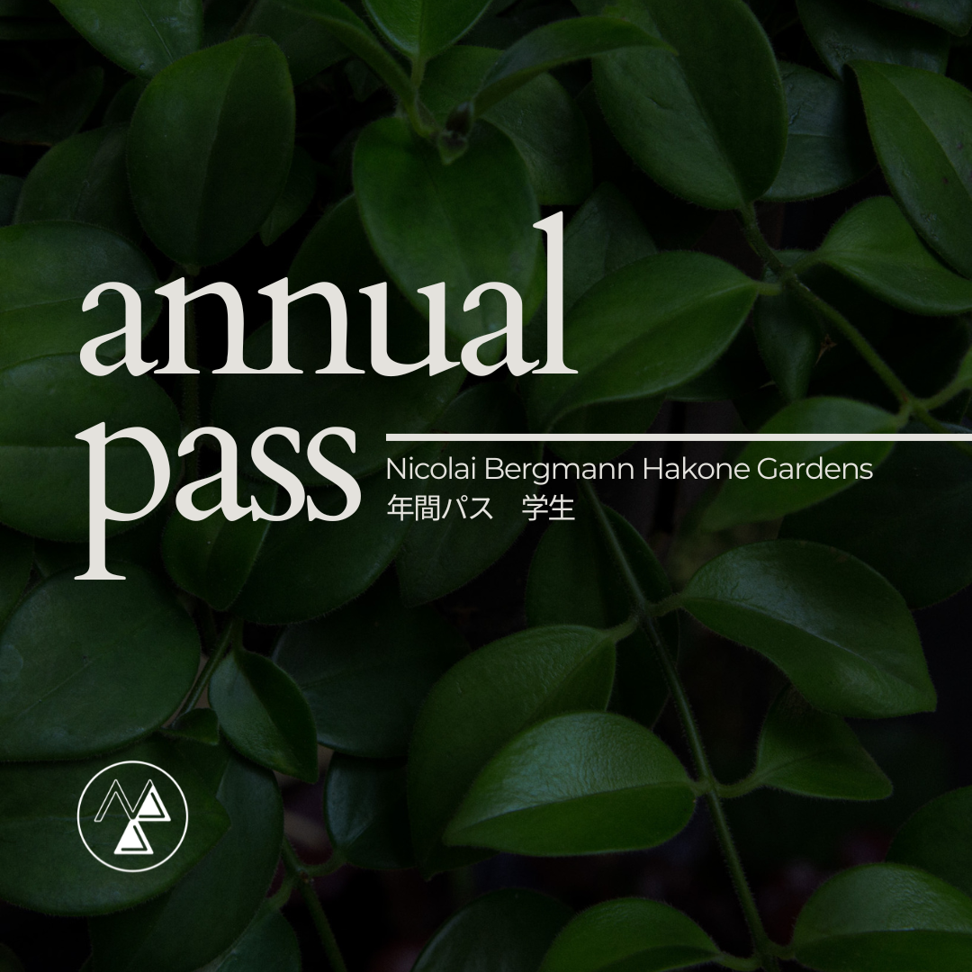 園生百席 116枚 ニコライ バーグマン 箱根 ガーデンズ 年間パス 学生