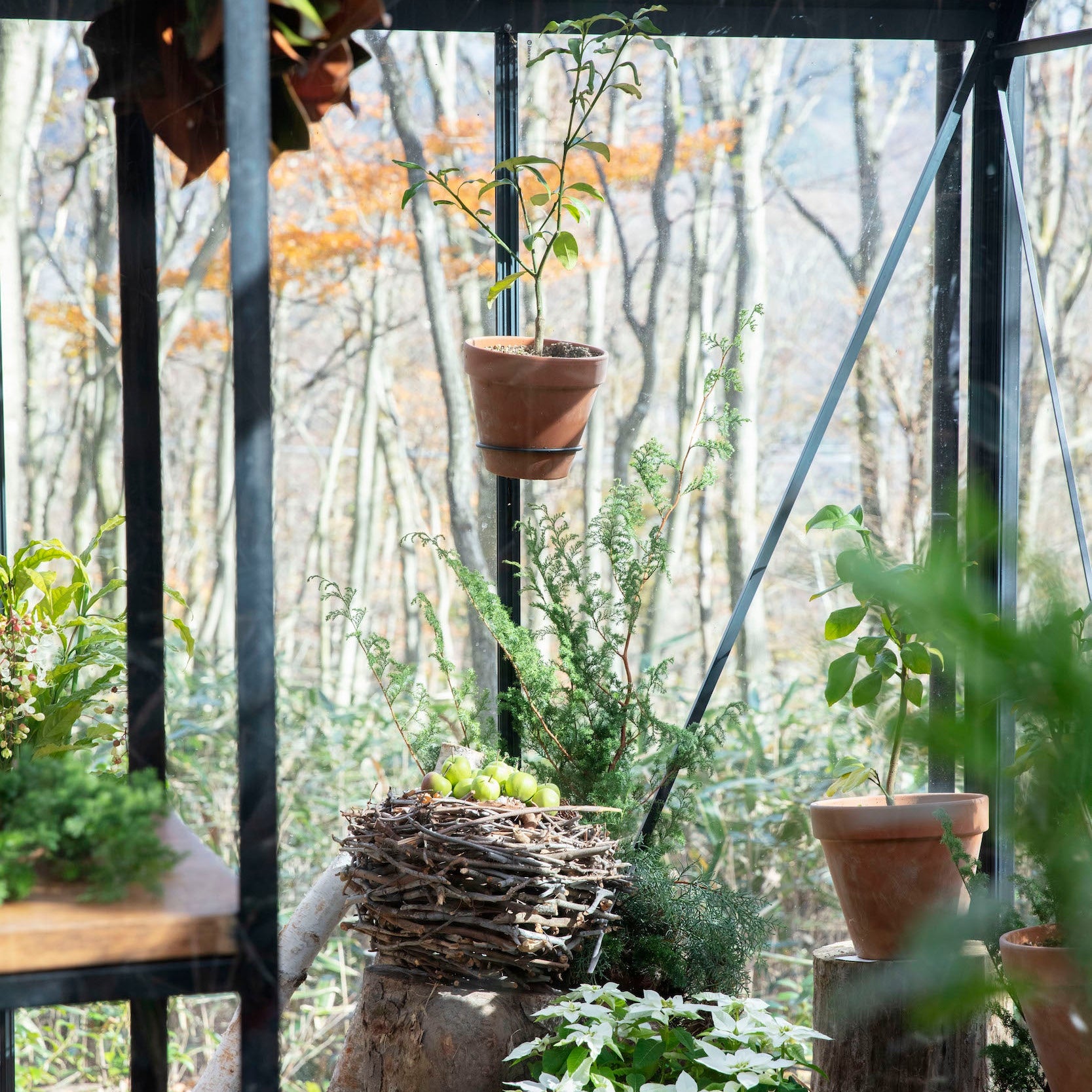 12.22 Holiday Workshop with Nicolai Bergmann