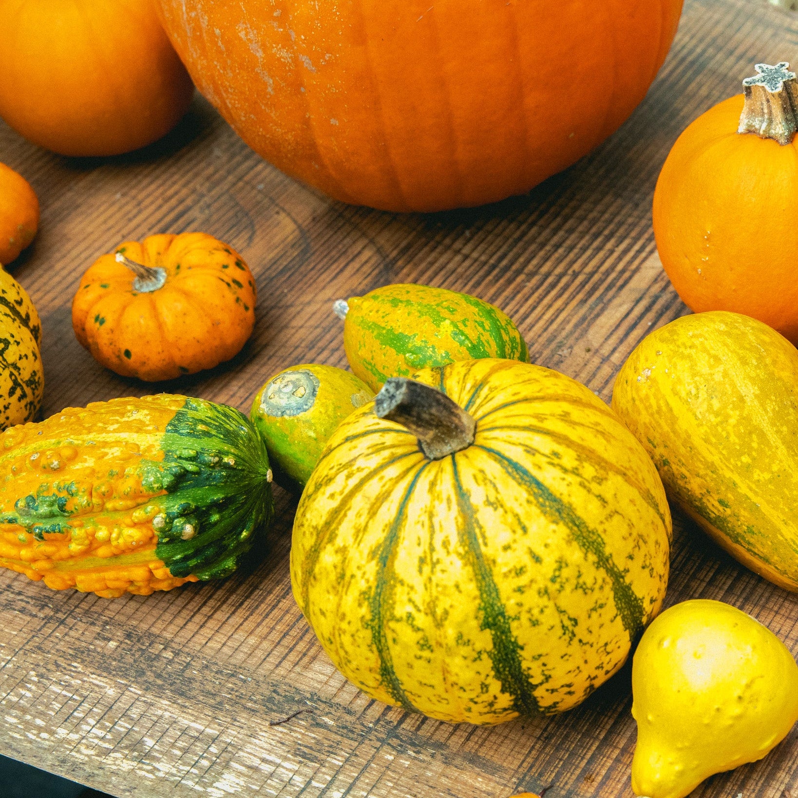 10.7 Halloween Wreath Workshop with Nicolai Bergmann