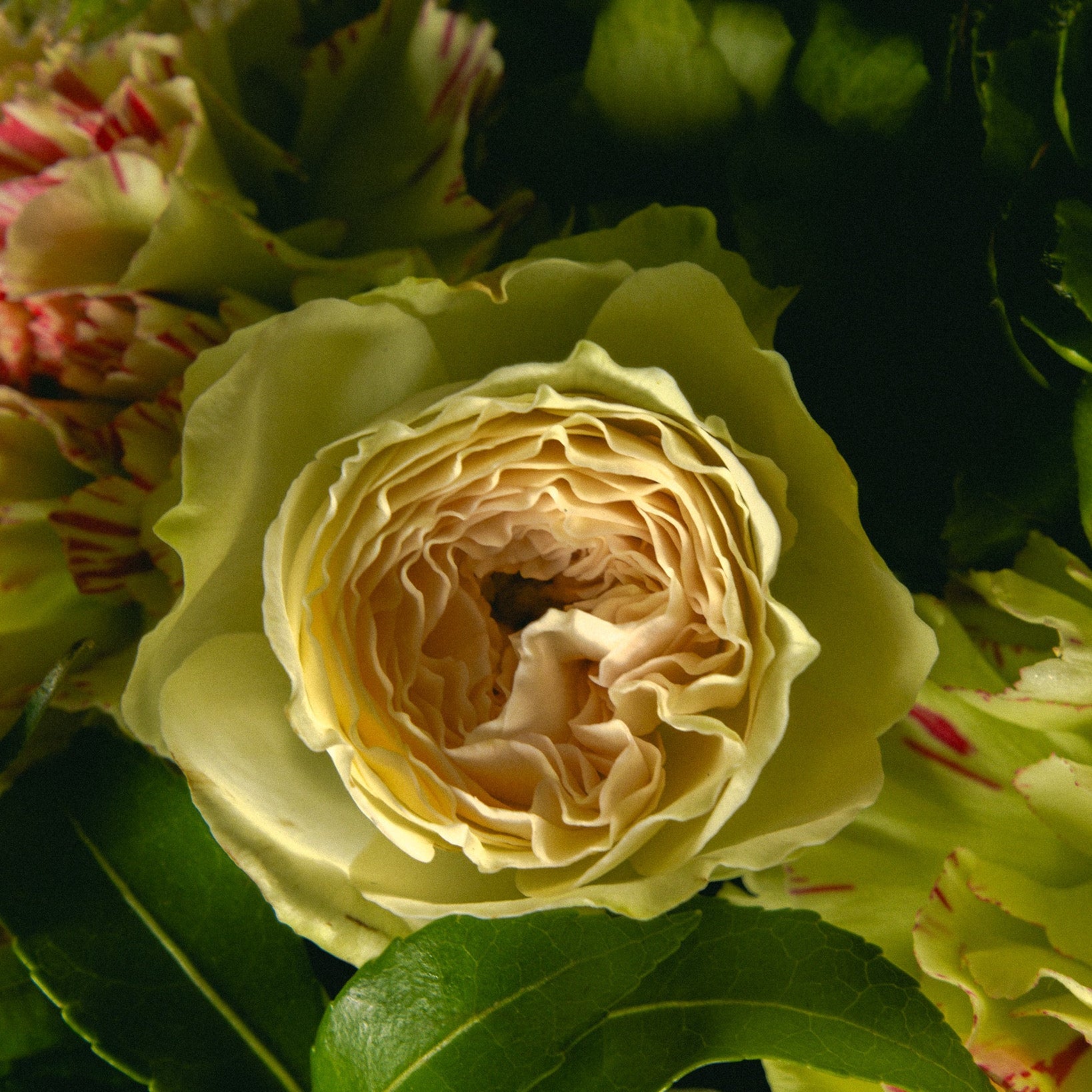 2.21 Special Flower Workshop with Nicolai Bergmann & Charlotte Sæborg Ohlsen