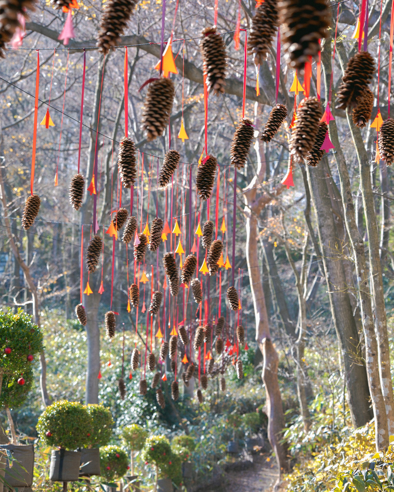 ニコライ バーグマン 箱根 ガーデンズ 事前予約入場チケット 学生