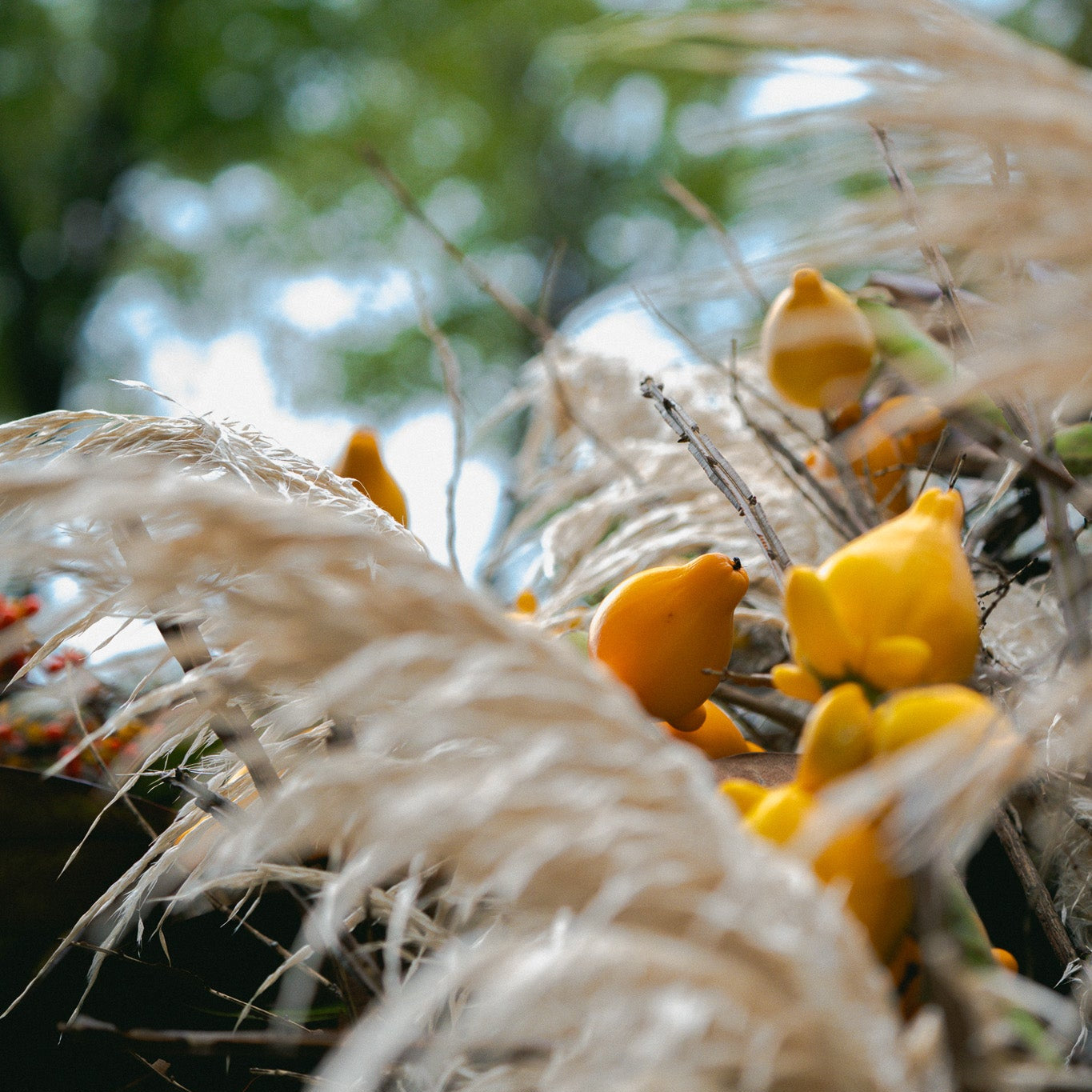 9.9 Early Autumn Flower Workshop with Nicolai Bergmann