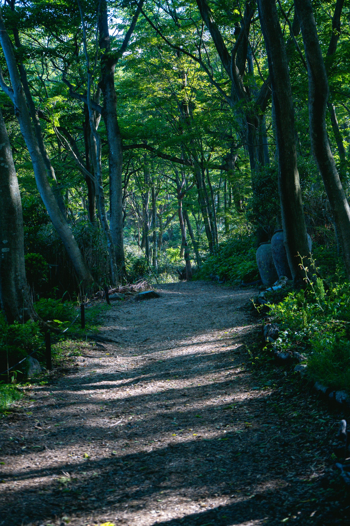 ニコライ バーグマン 箱根 ガーデンズ 事前予約入場チケット 学生