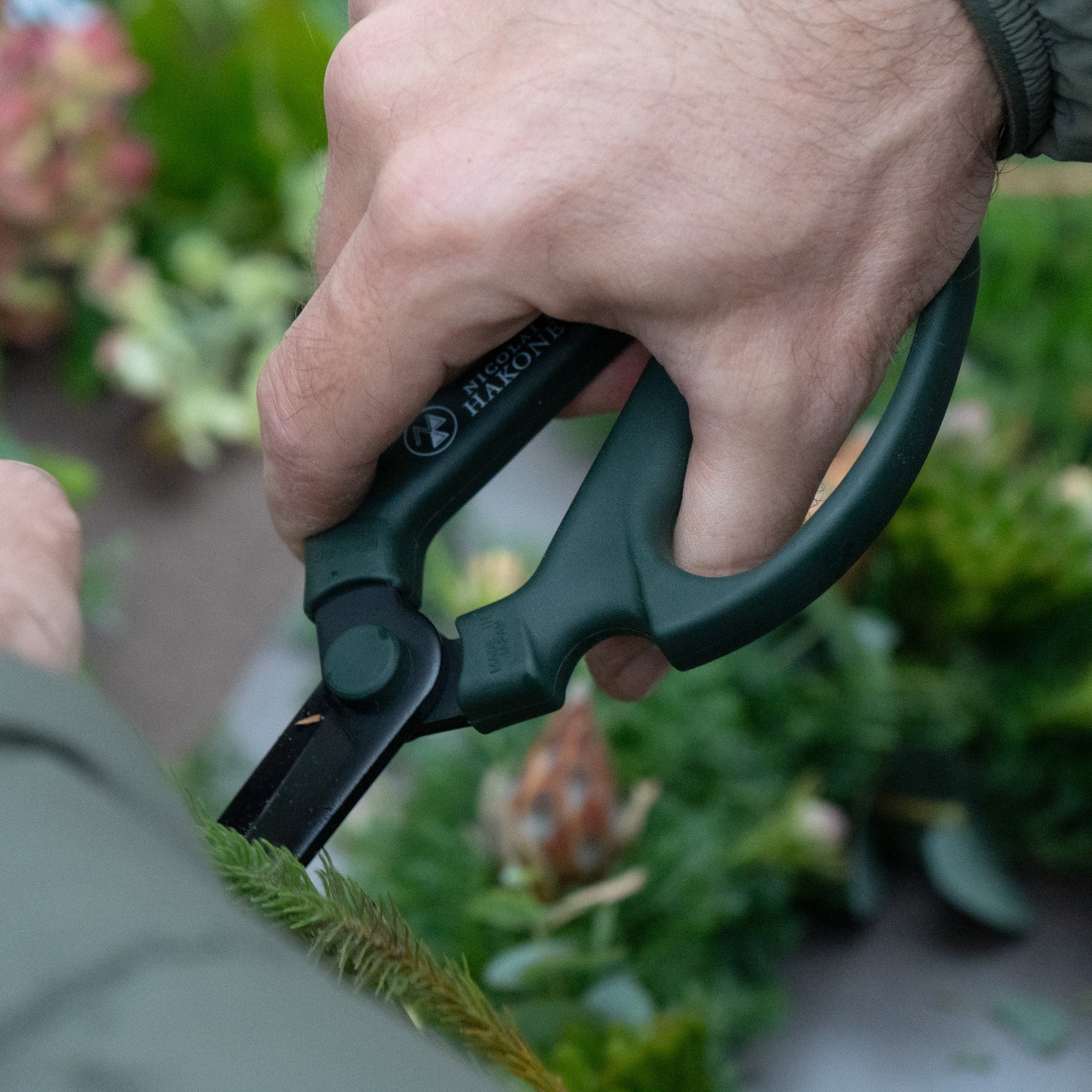 ニコライ バーグマン 箱根 ガーデンズ オリジナル シザー