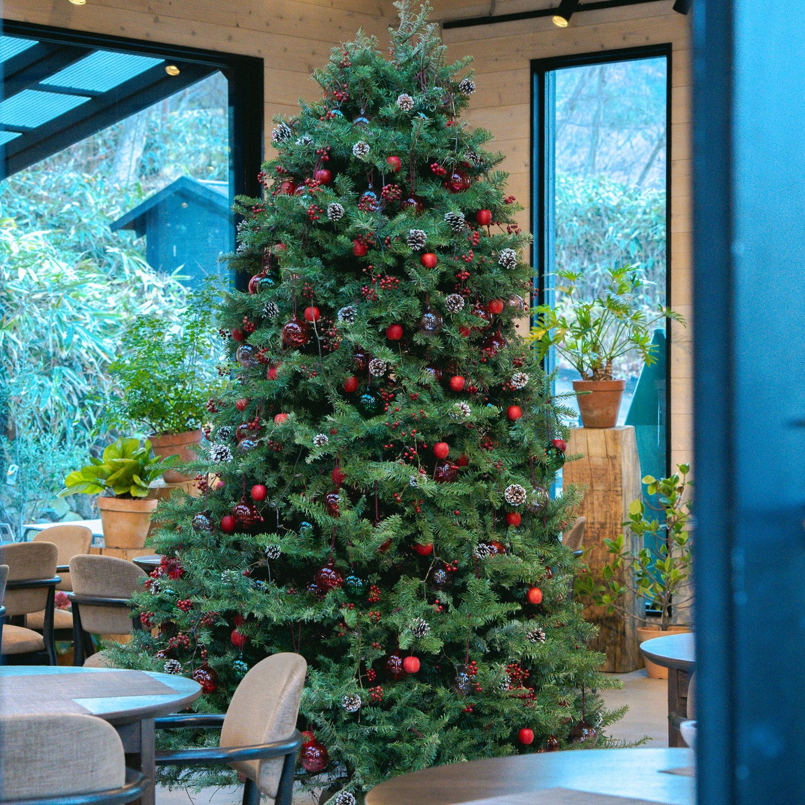 12.16 Holiday Flower Workshop with Nicolai Bergmann