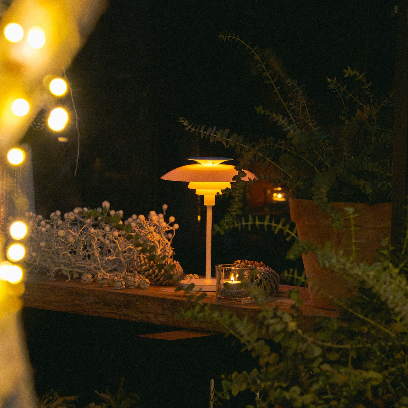 イルミネーションウィークエンドナイト