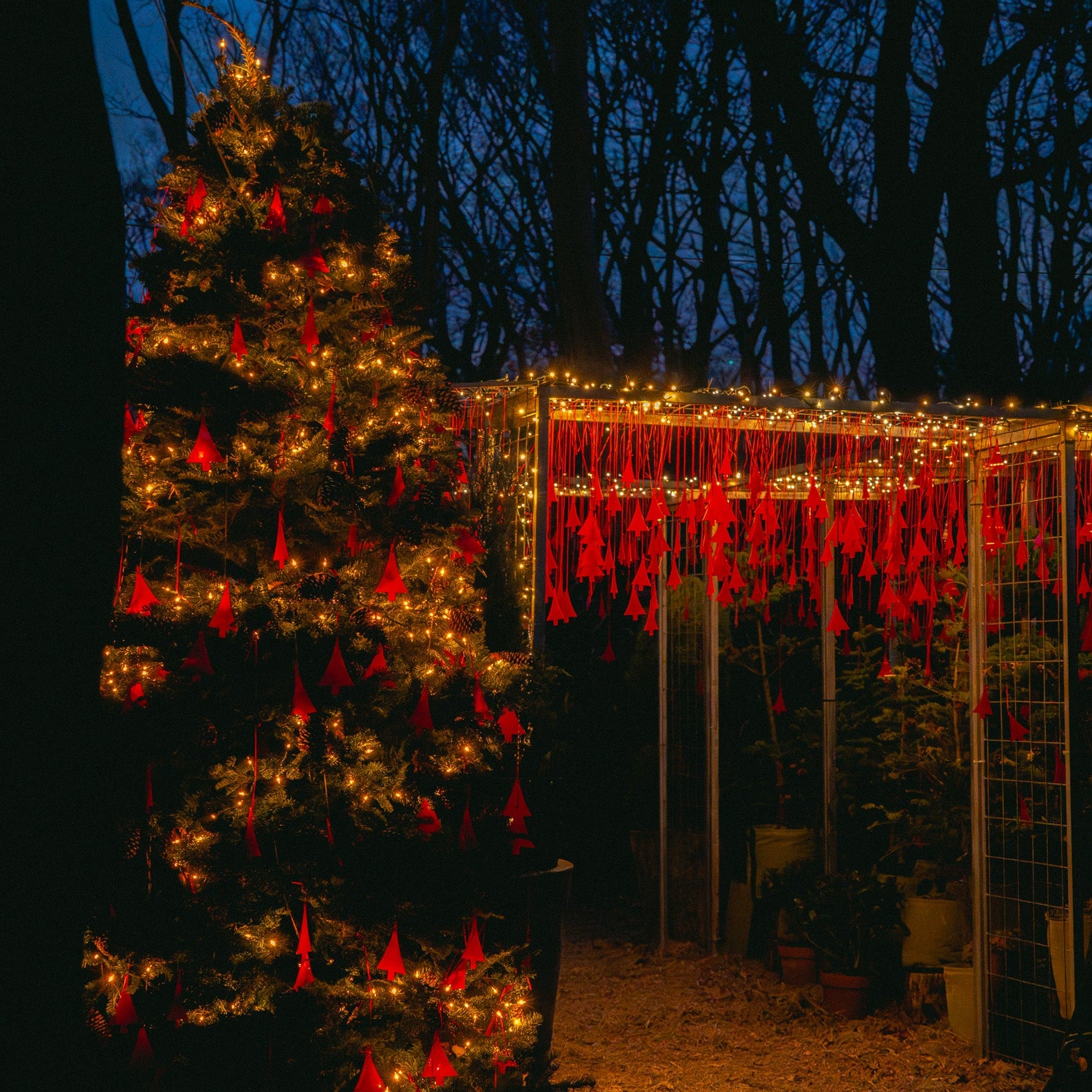 イルミネーションウィークエンドナイト