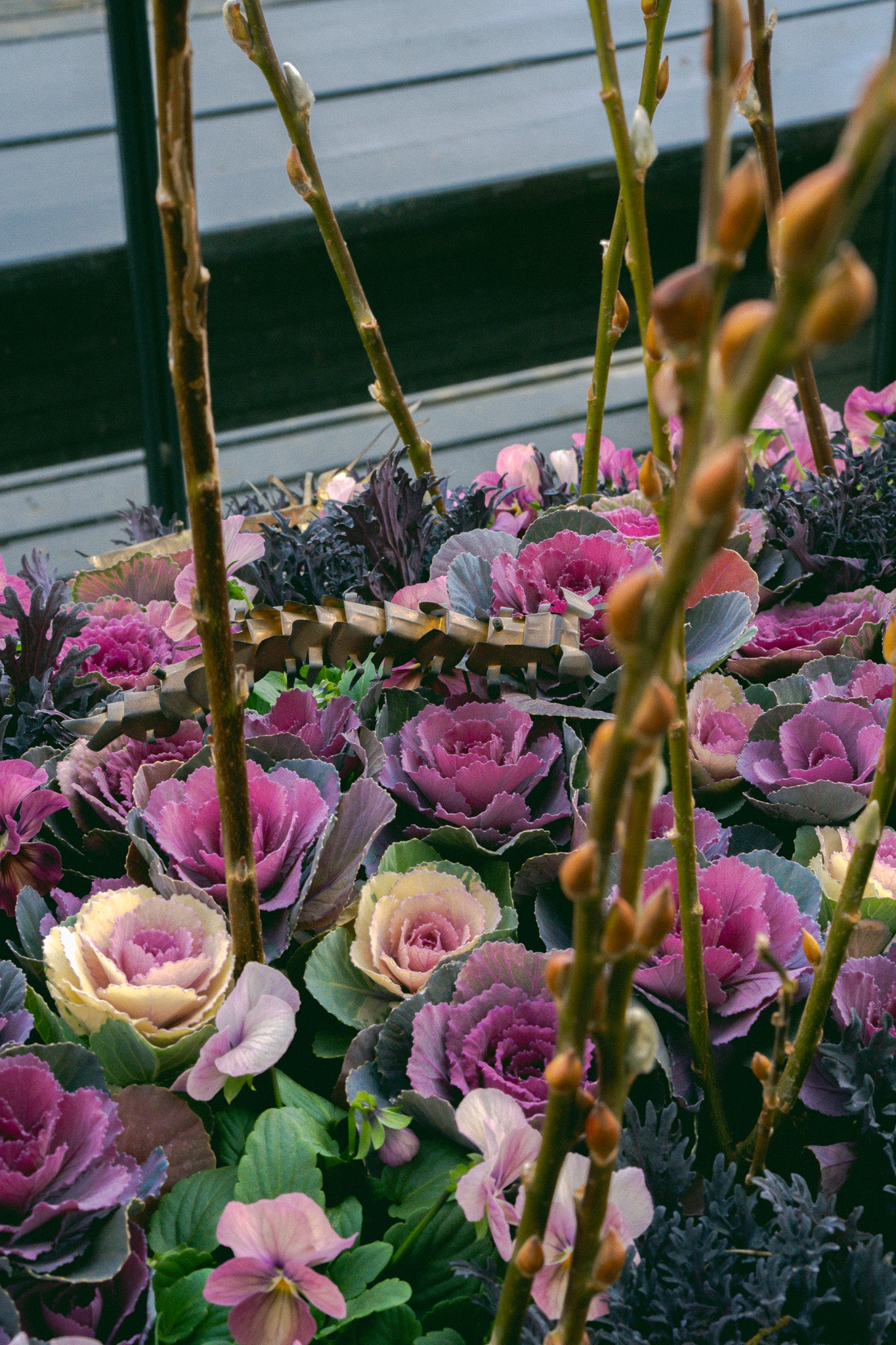 ニコライ バーグマン 箱根 ガーデンズ 事前予約入場チケット