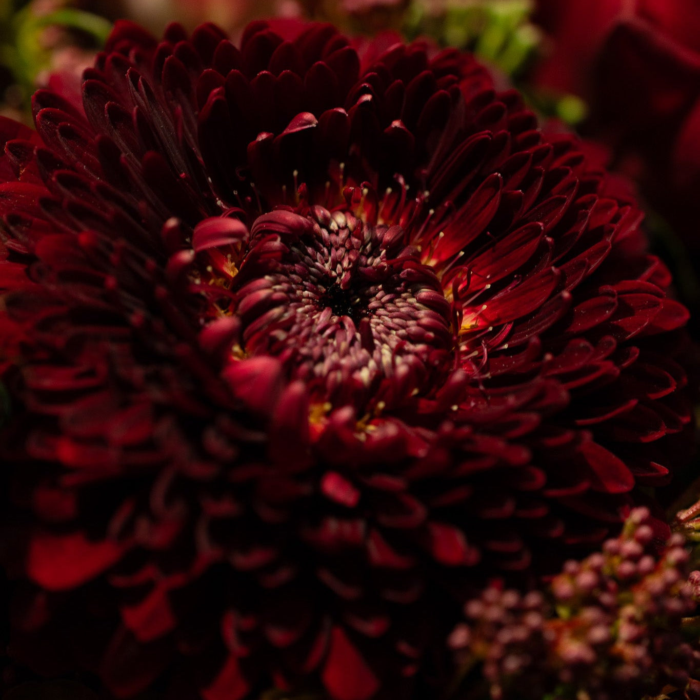 2.14 Valentine Flower Workshop with Nicolai Bergmann