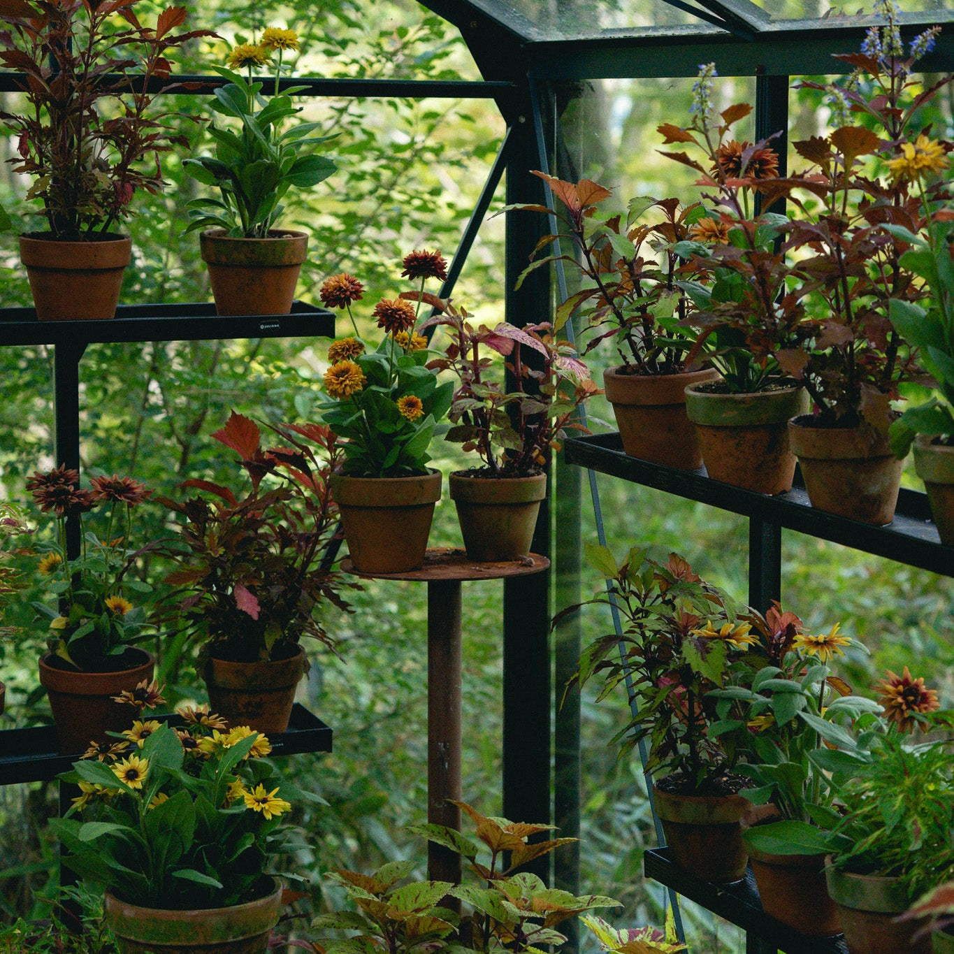 9.9 Early Autumn Flower Workshop with Nicolai Bergmann