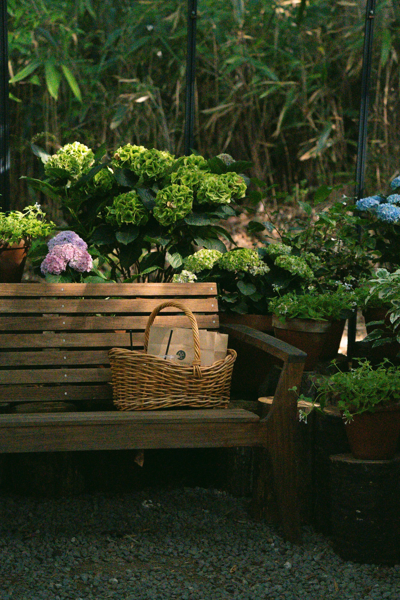 ニコライ バーグマン 箱根 ガーデンズ 事前予約入場チケット 学生