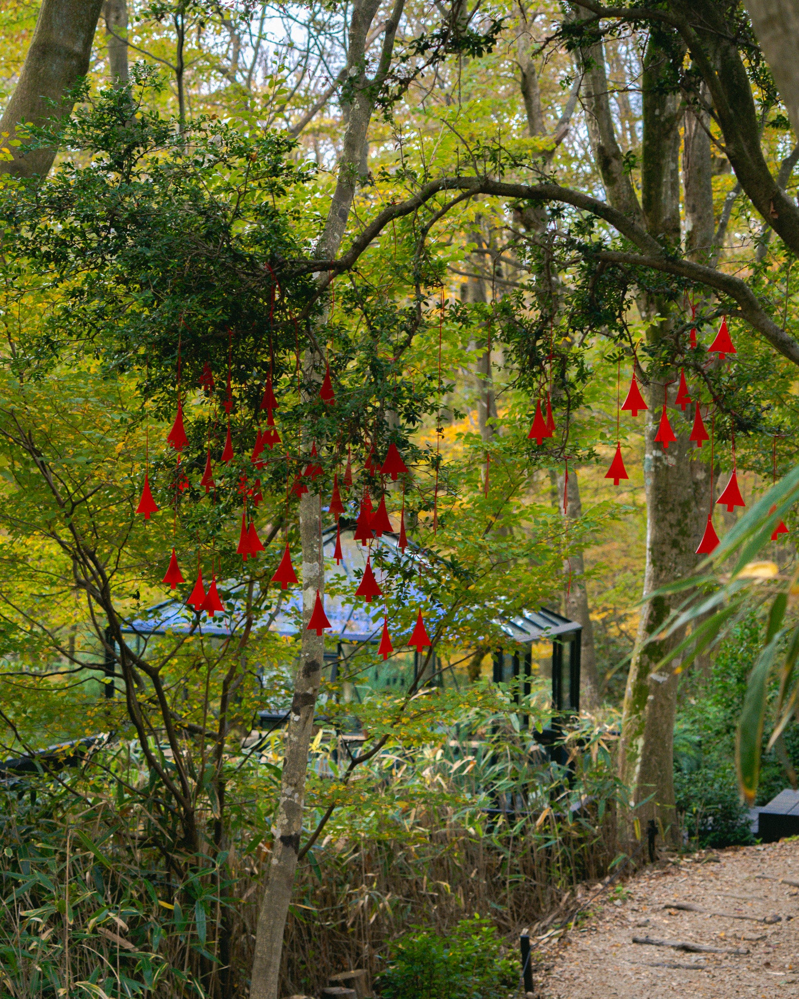 ニコライ バーグマン 箱根 ガーデンズ 事前予約入場チケット 学生