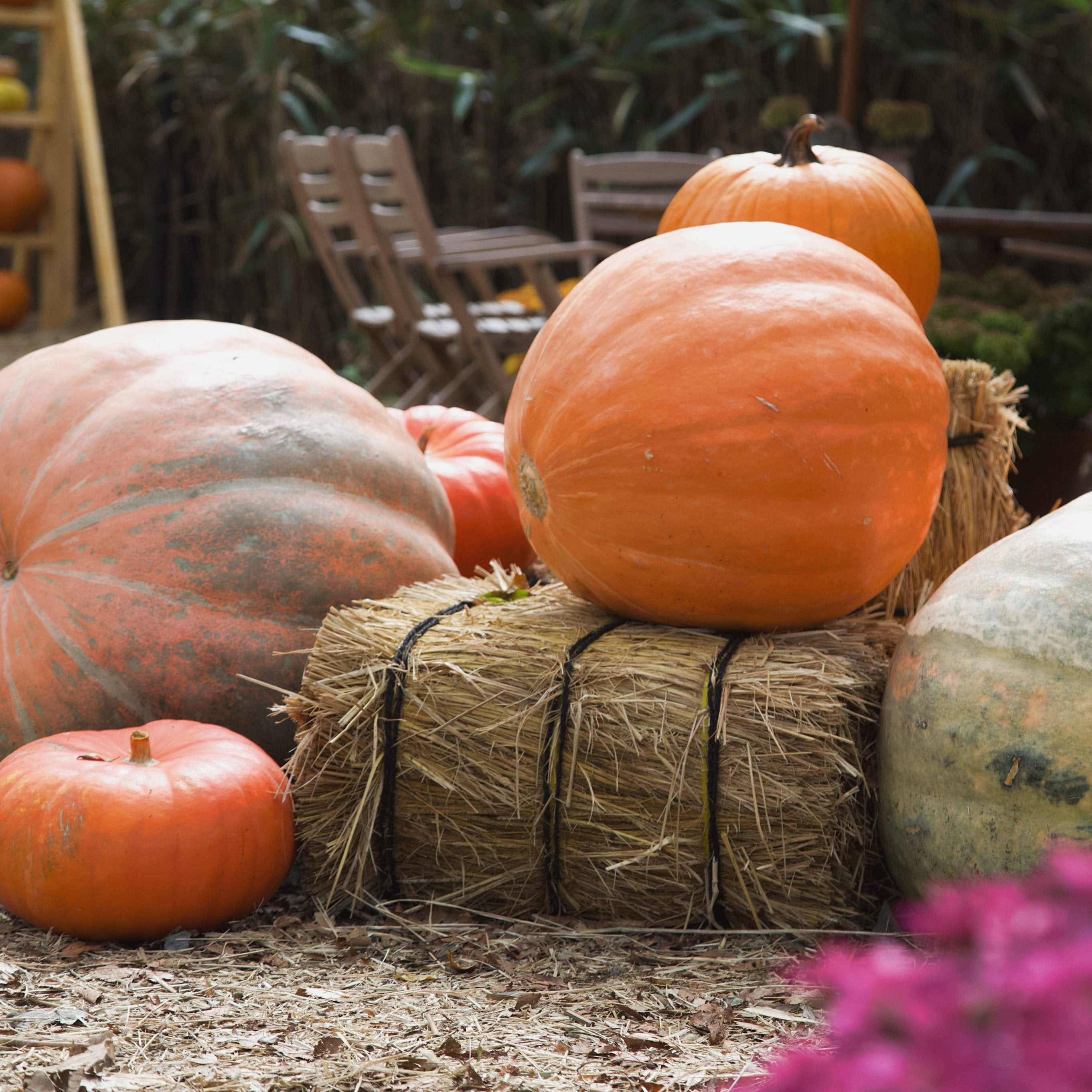 9.27 Welcome Autumn Workshop