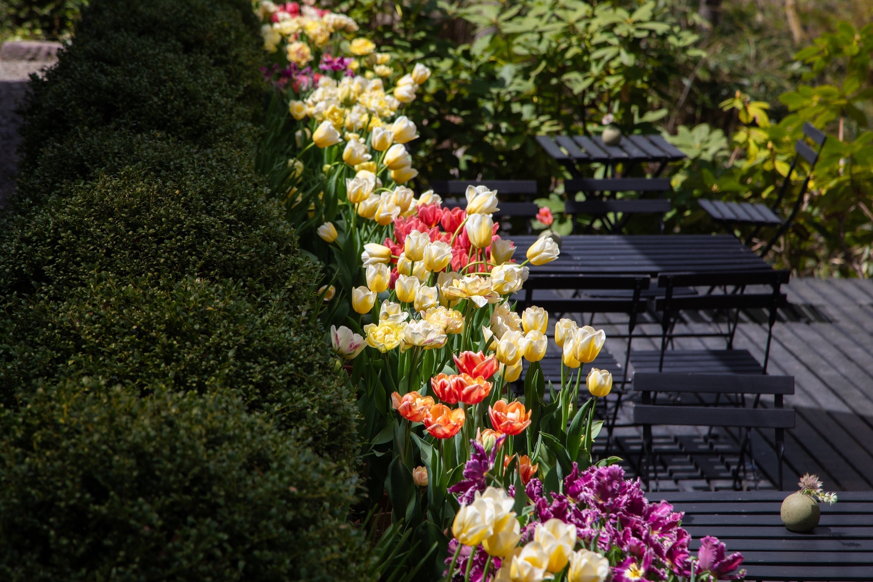 4周年を迎えるニコライ バーグマン 箱根 ガーデンズ！