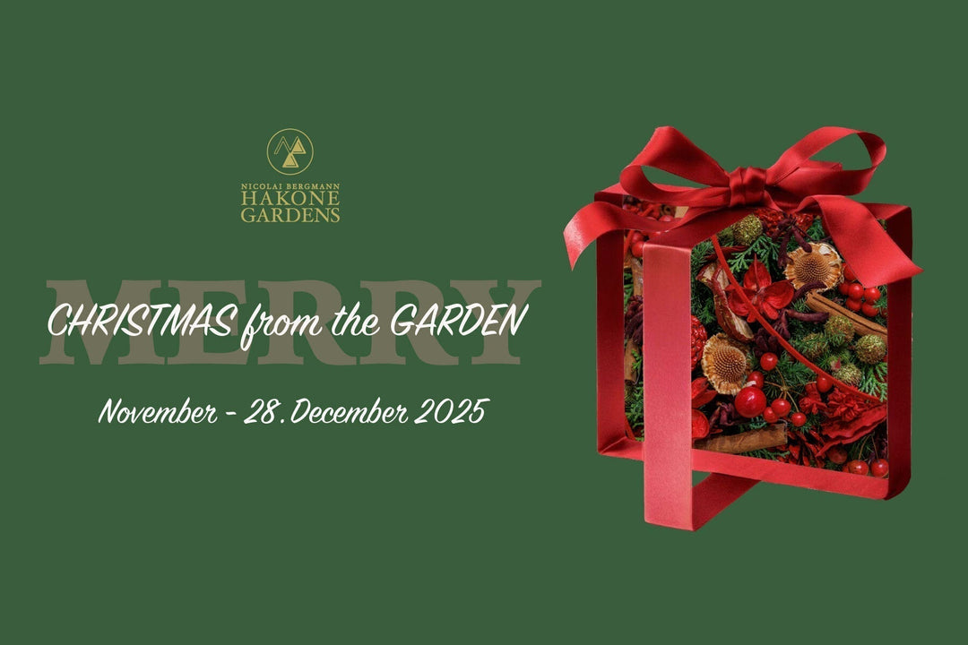 箱根 ガーデンズのホリデーシーズンが到来！