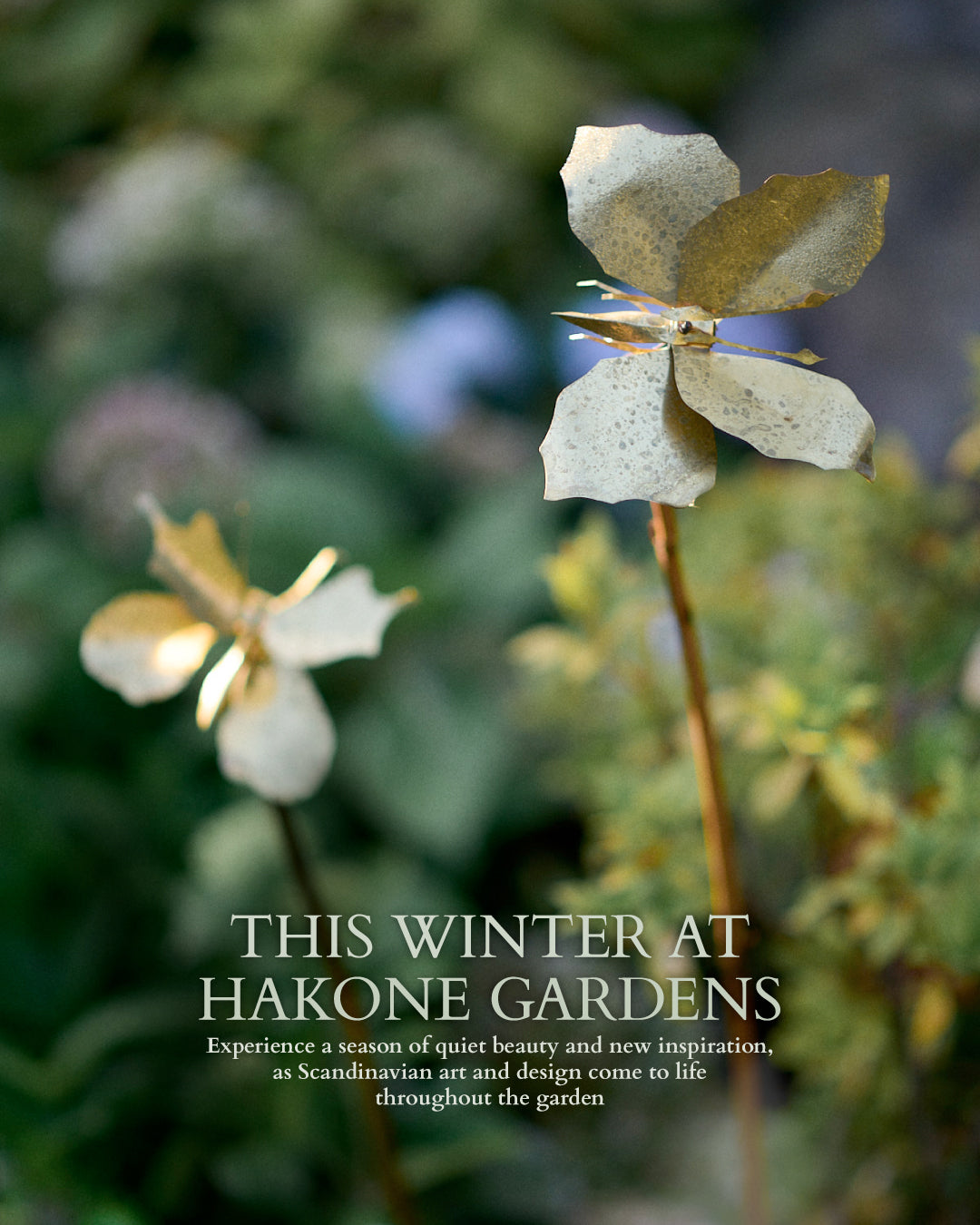 ニコライ バーグマン 箱根 ガーデンズ 事前予約入場チケット　