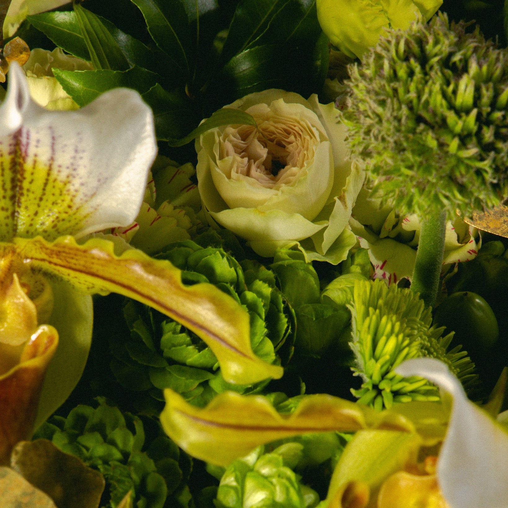 2.21 Special Flower Workshop with Nicolai Bergmann & Charlotte Sæborg Ohlsen