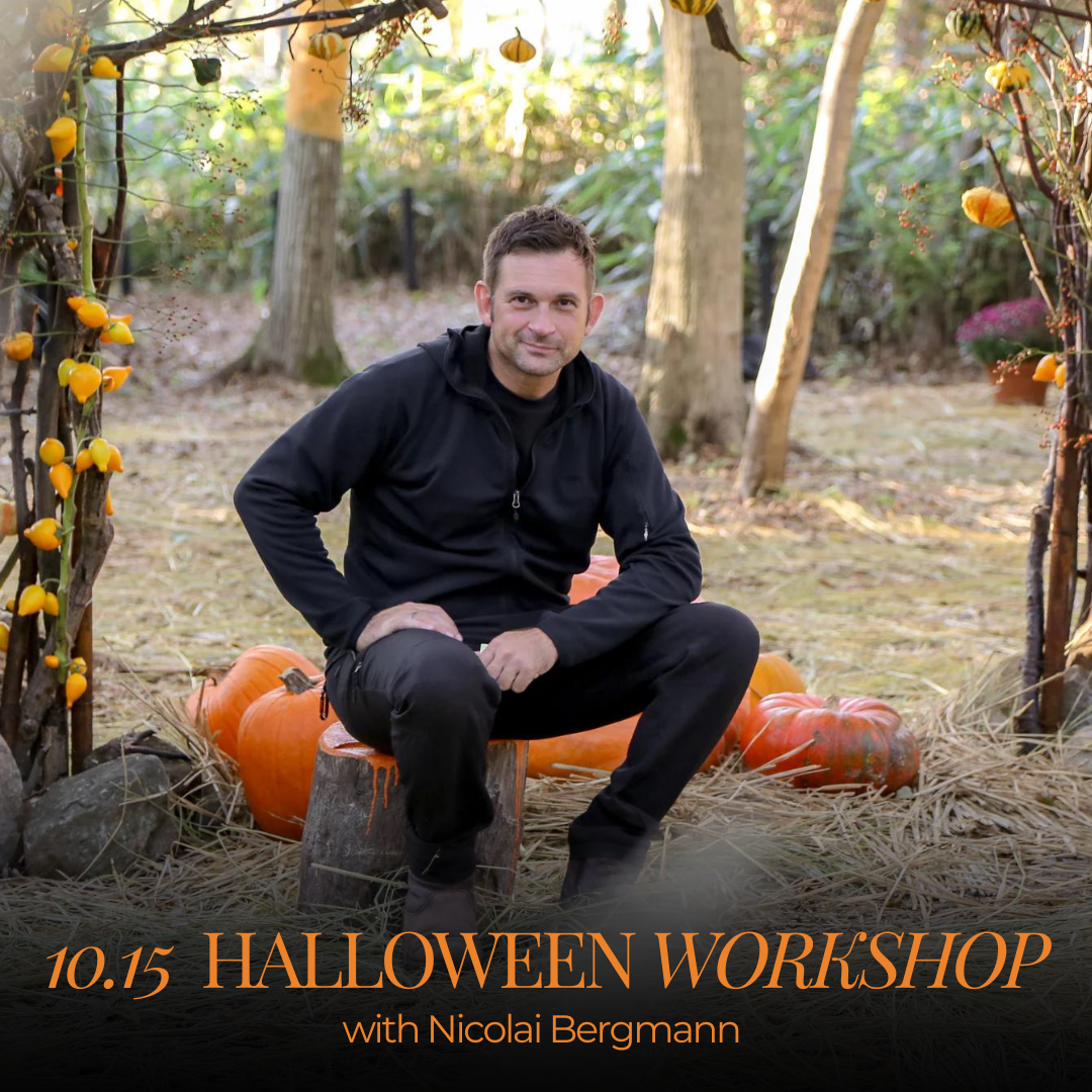 Halloween Workshop 2024