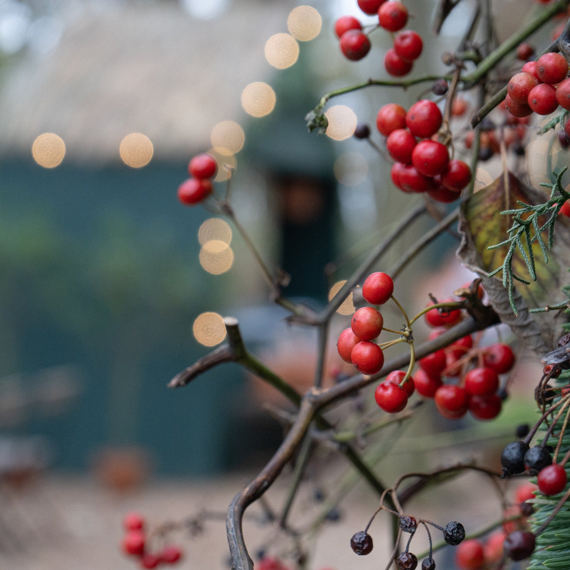 12.22 Holiday Workshop with Nicolai Bergmann