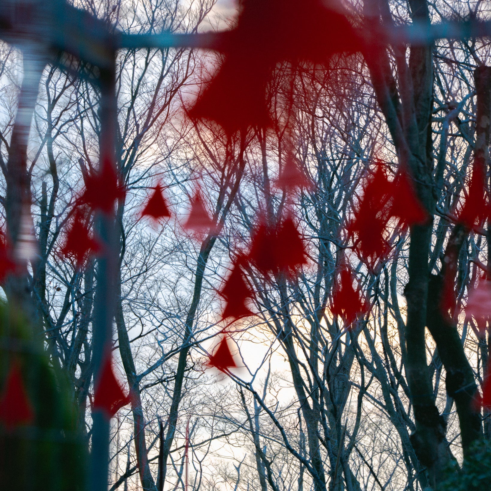 12.16 Holiday Flower Workshop with Nicolai Bergmann