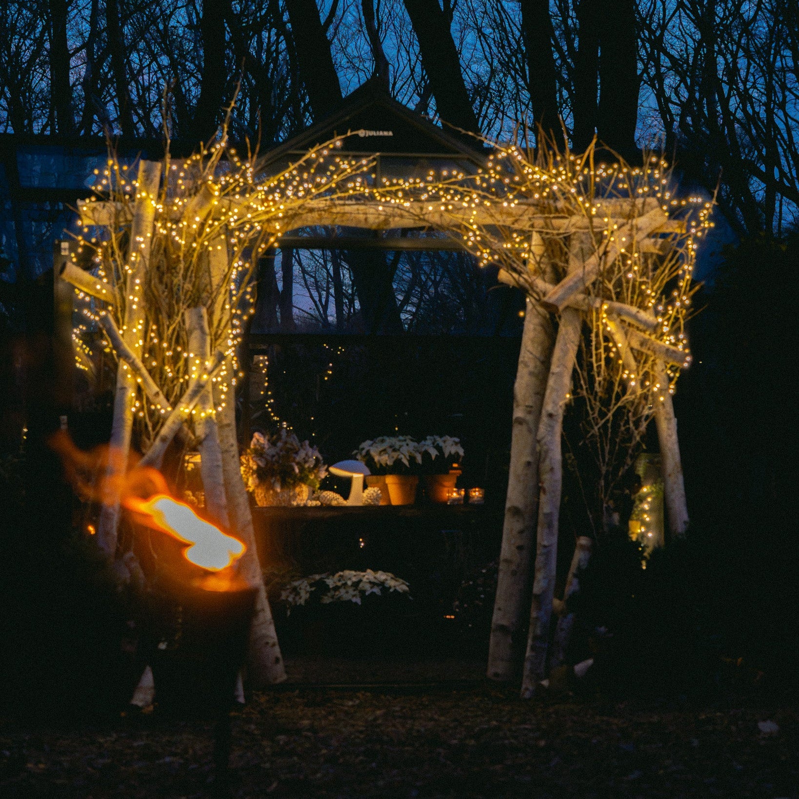 12.16 Holiday Flower Workshop with Nicolai Bergmann