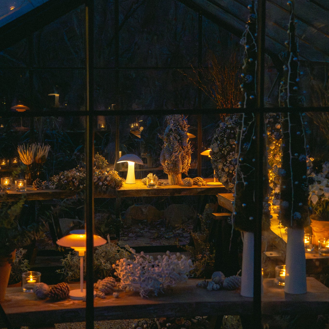 イルミネーションウィークエンドナイト