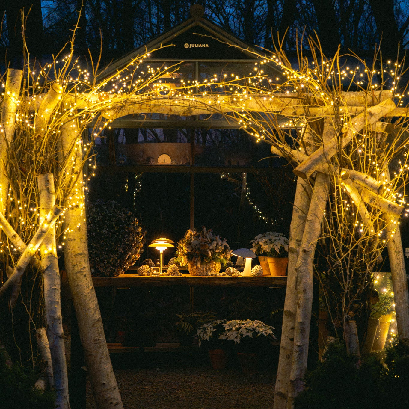 イルミネーションウィークエンドナイト