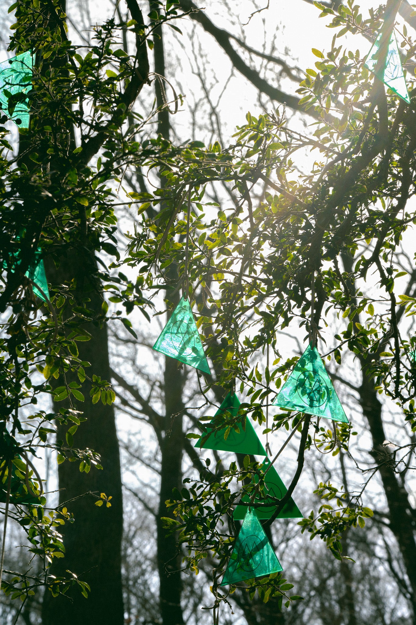 ニコライ バーグマン 箱根 ガーデンズ 事前予約入場チケット　