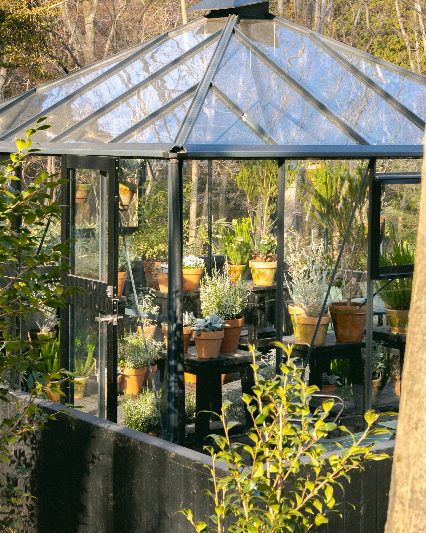 ニコライ バーグマン 箱根 ガーデンズ 事前予約入場チケット　