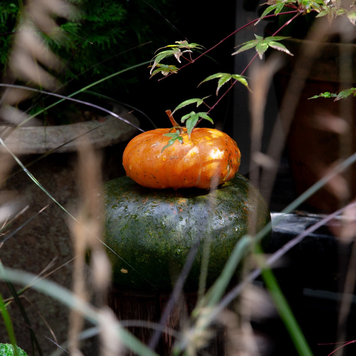 10.25 Autumn Wreath Workshop