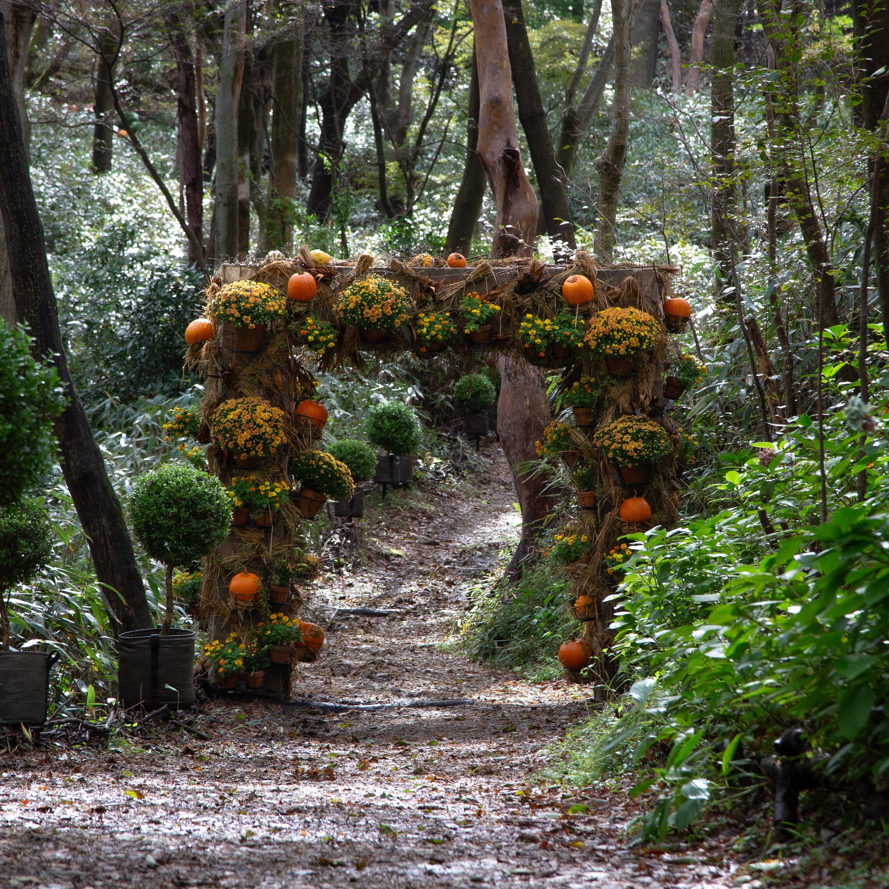 9.27 Welcome Autumn Workshop