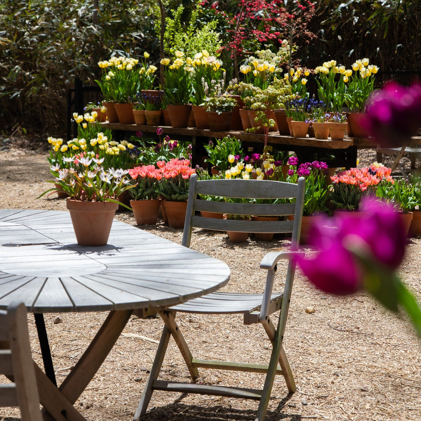 4.18 Anniversary Flower Workshop with Nicolai Bergmann