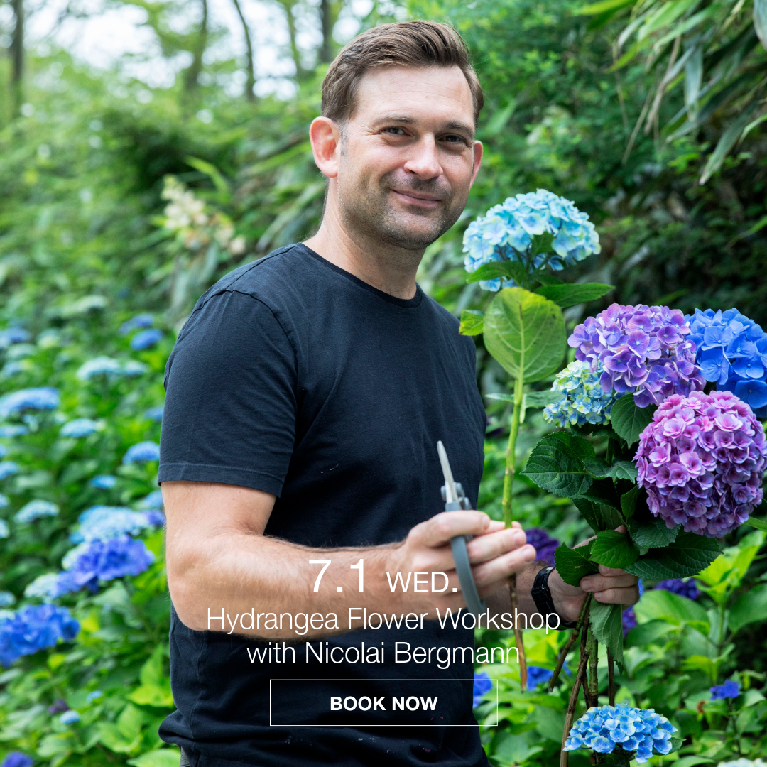 hydrangeaworkshop_0701